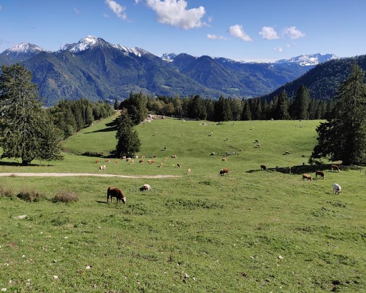 Berggasthof Staffn - Alm